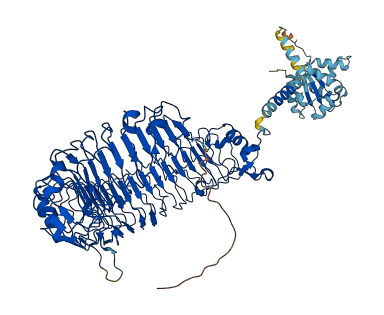 TLR3 3D structure