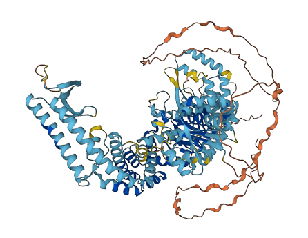 MSH4 3D structure