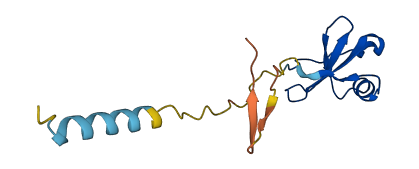 CCL16 3D structure