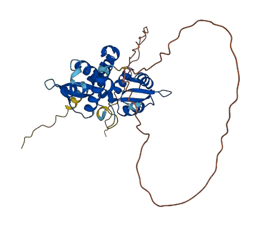 MAGEB3 3D structure