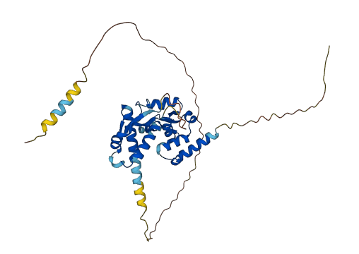 MAGEB4 3D structure