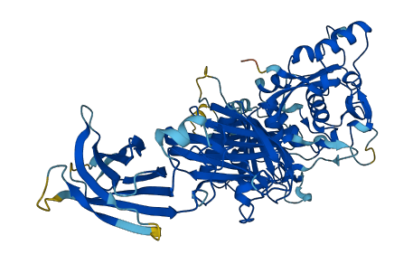 CAPN5 3D structure