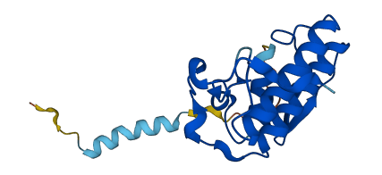 PLA2G10 3D structure