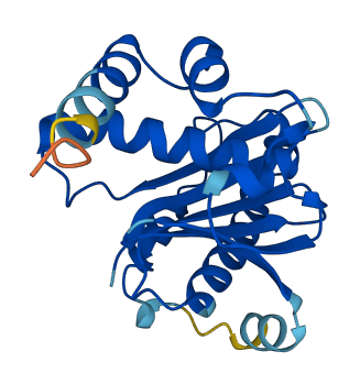 YKT6 3D structure