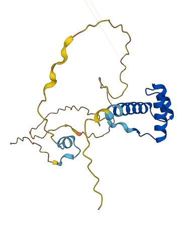 GSC2 3D structure