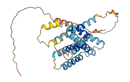 INSIG1 3D structure