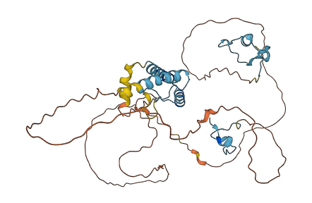 NUP42 3D structure