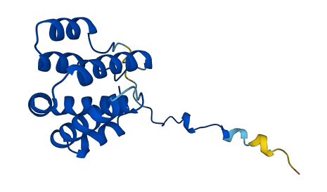 ARPC5 3D structure