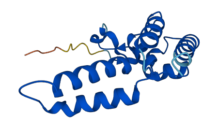 POLR2D 3D structure