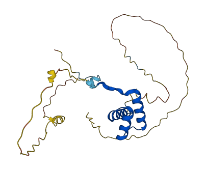 NKX2-8 3D structure