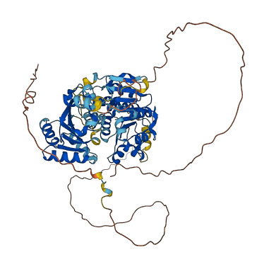DDX3Y 3D structure