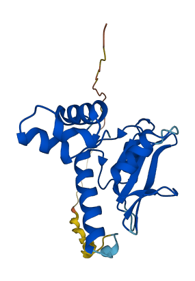 SOCS1 3D structure