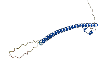 MAFG 3D structure