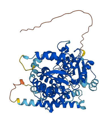 CYP27B1 3D structure