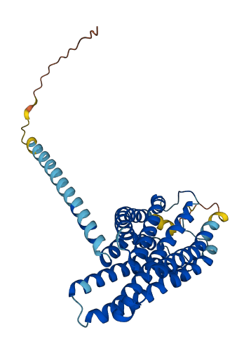 GPR42 3D structure