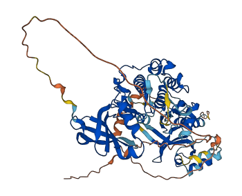 PDPK1 3D structure