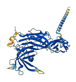 TAPBP 3D structure
