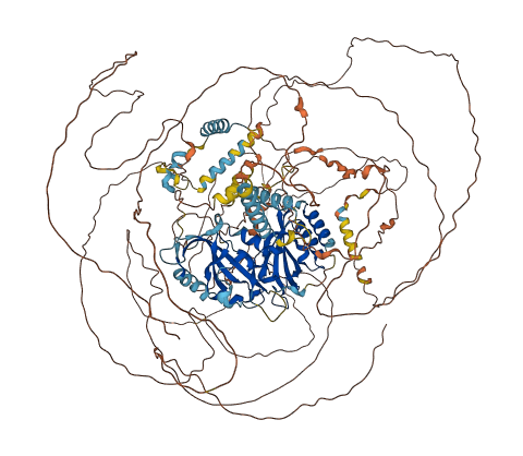 PER1 3D structure