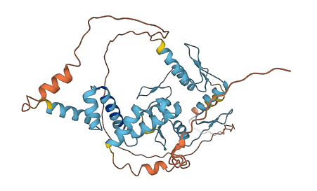 ZSCAN9 3D structure