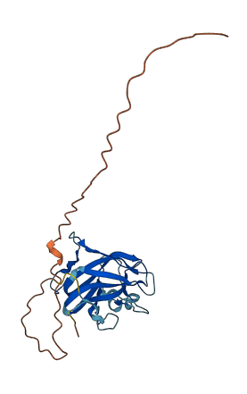 RS1 3D structure