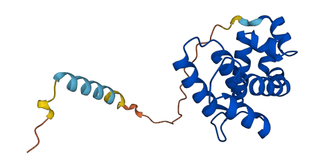 RGS5 3D structure