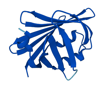 FABP7 3D structure