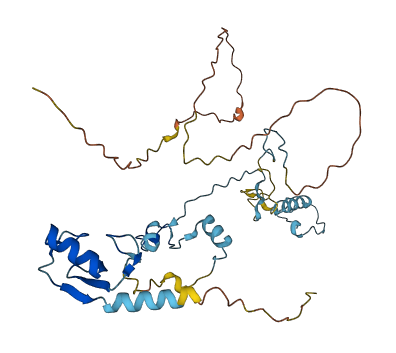 RNF113A 3D structure