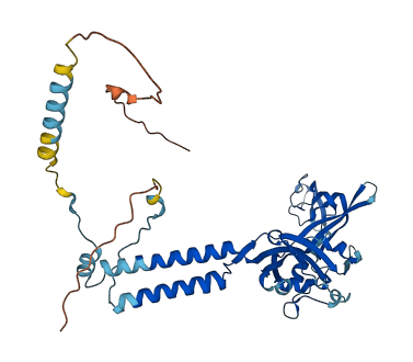 P2RX6 3D structure