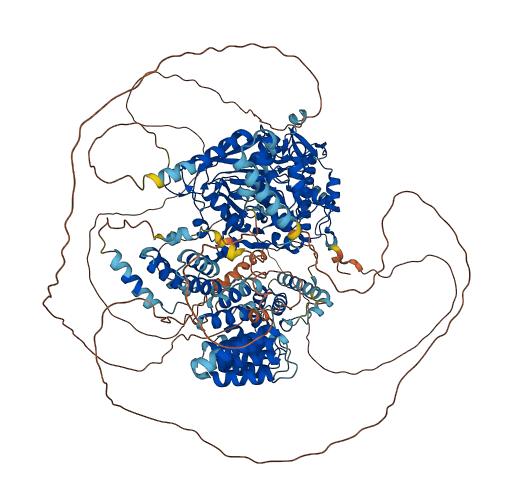 KDM6A 3D structure
