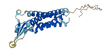 CLDN3 3D structure