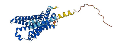 FFAR2 3D structure