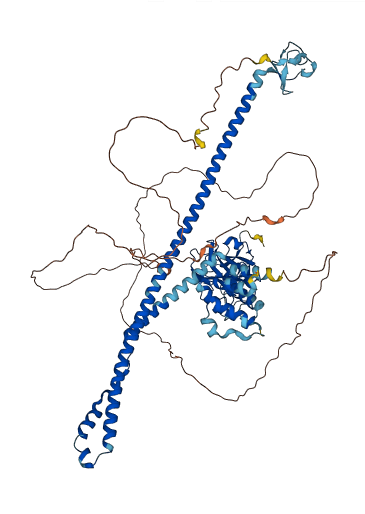 MEFV 3D structure