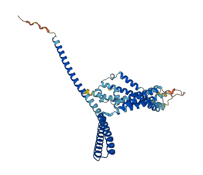 KCNN4 3D structure