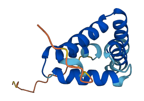 Grcc10 3D structure