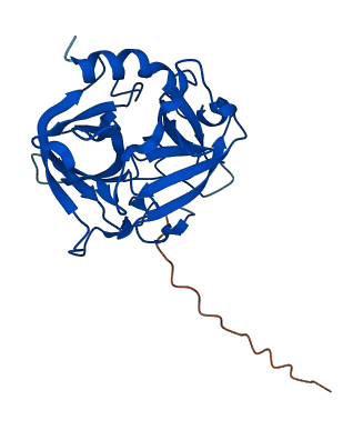 Mcpt9 3D structure