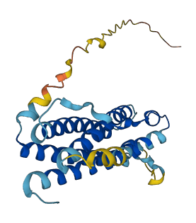 Prl6a1 3D structure