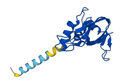 Ear3 3D structure