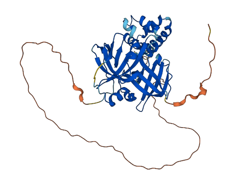 Ifi203 3D structure
