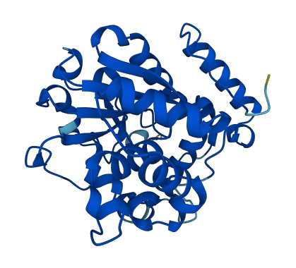 Sult3a1 3D structure