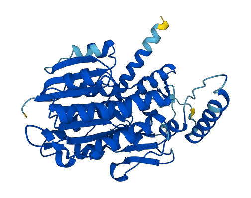 Hsd3b6 3D structure