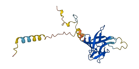 Fgf15 3D structure