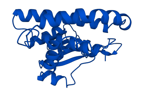 Gstm6 3D structure