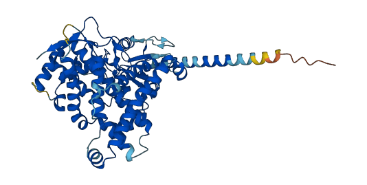 Cyp4a14 3D structure