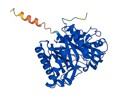 Chil3 3D structure
