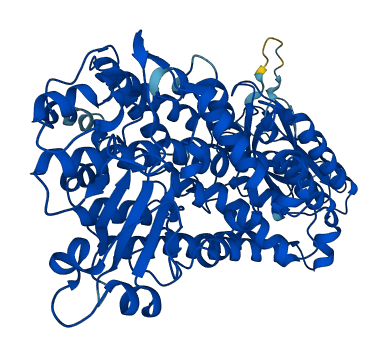Alox8 3D structure