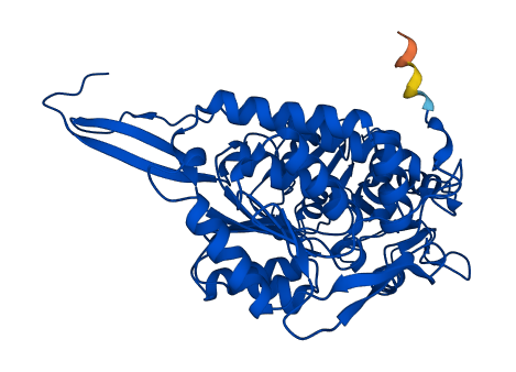 Aldh1a7 3D structure