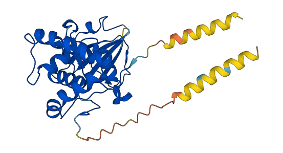 Art2b 3D structure