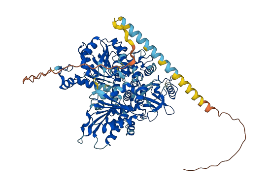 DHX15 3D structure