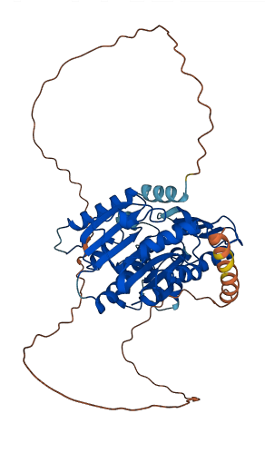 RNMT 3D structure