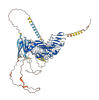 FLRT2 3D structure